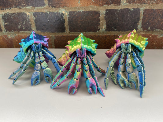 Hermit Crab