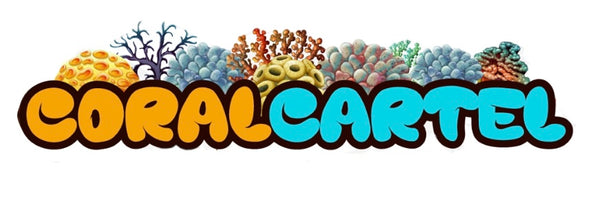 Coral Cartel